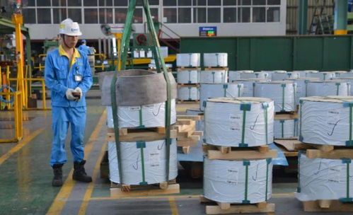 江苏大明不锈钢圆片 以高端品质点燃海外户外取暖市场